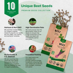 10 Rare Beet Seeds Variety Pack - Organo Republic seeds store 10 Rare Beet Seeds Variety Pack