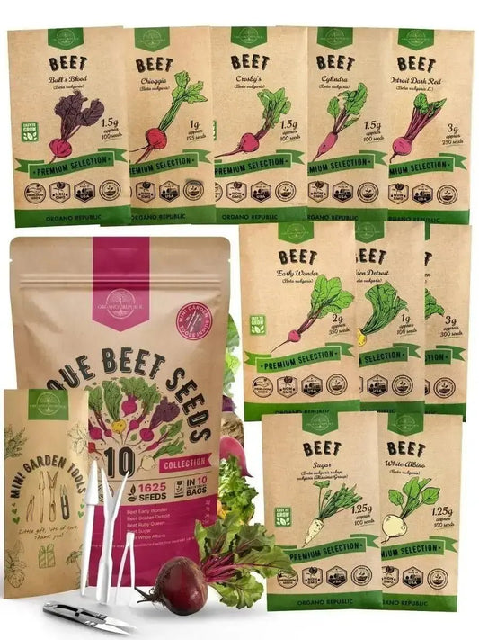 Organo Republic 10 Rare Beet Seeds Variety Pack for Planting Indoor & Outdoors 1600+ Heirloom Non - GMO Bulk Beets Gardening Seeds - Organo Republic 900