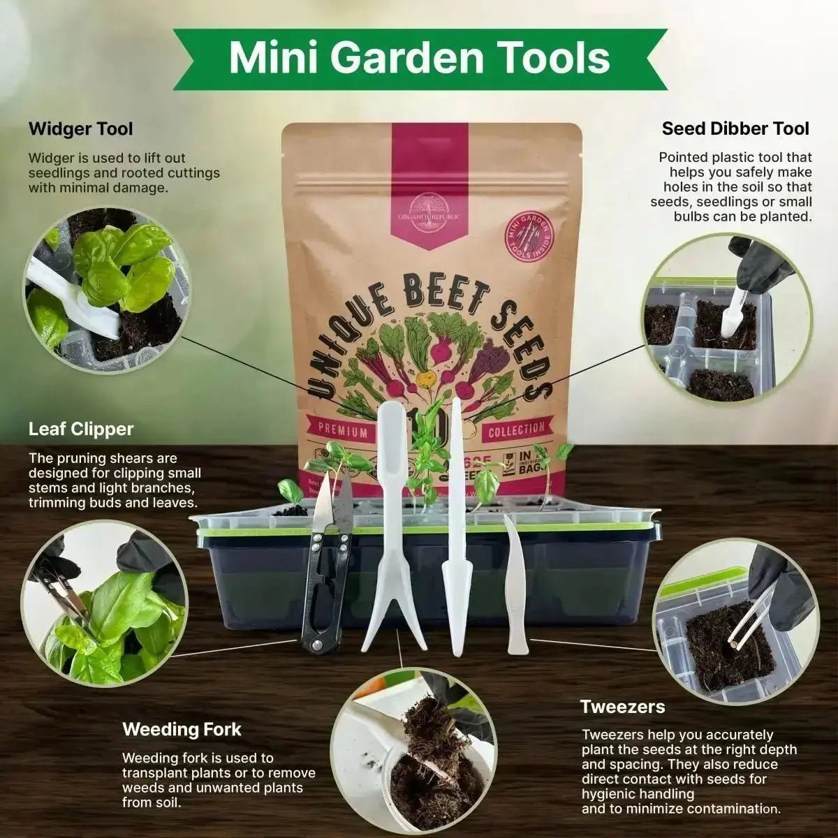 10 Rare Beet Seeds Variety Pack - Organo Republic seeds store 10 Rare Beet Seeds Variety Pack