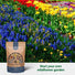 Organo Republic 16 Perennial Wildflower Seeds Mix for Indoor & Outdoors. 100,000+ Non - GMO, Heirloom Wildflower Garden Seeds, 4oz Packet for Growing Wild Flowers to Attract Bees, Butterflies & Birds - Organo Republic
