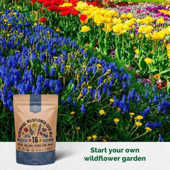 16 Perennial Wildflower Seeds Mix - Organo Republic seeds store 16 Perennial Wildflower Seeds Mix
