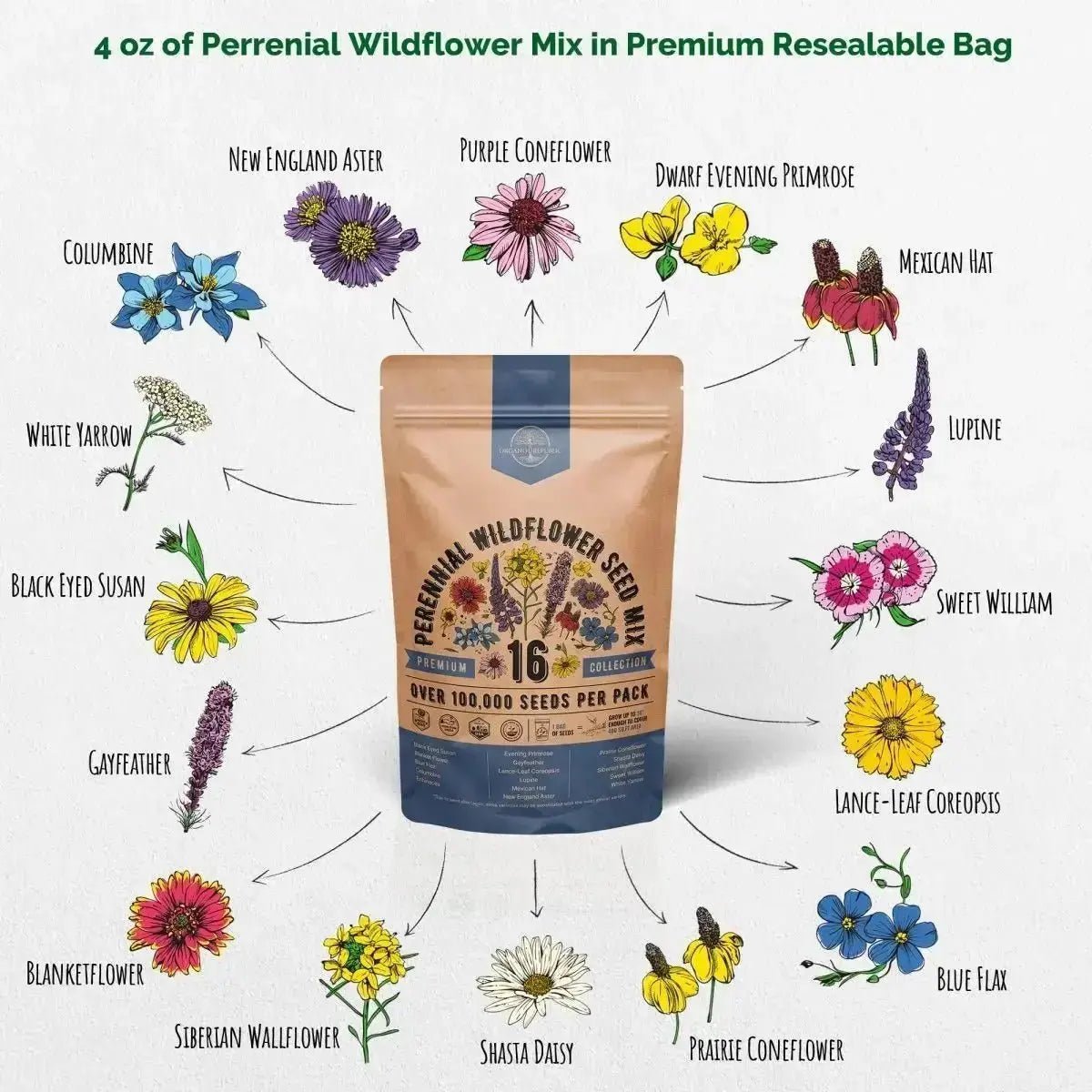 16 Perennial Wildflower Seeds Mix - Organo Republic seeds store 16 Perennial Wildflower Seeds Mix