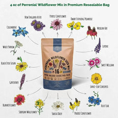 16 Perennial Wildflower Seeds Mix - Organo Republic seeds store 16 Perennial Wildflower Seeds Mix