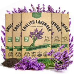 5-Pack English Lavender Seeds 12.50G - Organo Republic seeds store 5-Pack English Lavender Seeds 12.50G
