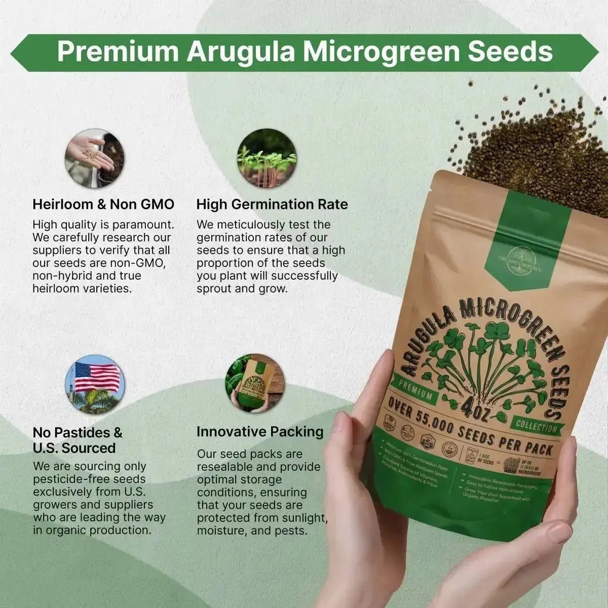 Arugula Sprouting & Microgreens Seeds 4oz - Organo Republic seeds store Arugula Sprouting & Microgreens Seeds 4oz