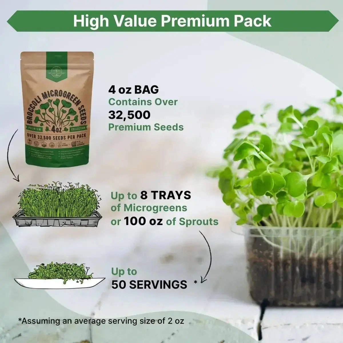 Broccoli Sprouting & Microgreens Seeds 4oz - Organo Republic seeds store Broccoli Sprouting & Microgreens Seeds 4oz