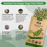 Pea Oregon Sugar Pod II Seeds Pack 15G - Over 75 Non - GMO Heirloom Pea Seeds for Planting Vegetables in Individual Seed Packet, Vegetable Seeds for Planting Home Garden Indoor & Outdoor Gardening - Organo Republic