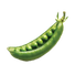 Pea Oregon Sugar Pod Ⅱ - 15G