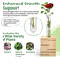Plant Propagation Station - 1 Glass Tube, Cube Wooden Plant Stand Indoor Terrarium for Hydroponic Plants Home and Office Desk Decor Root Propagator, Unique Gifts for Women, Men & Plant Lovers - Organo Republic