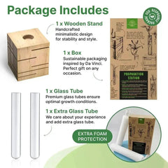 Plant Propagation Station - 1 Glass Tube, Cube Wooden Plant Stand Indoor Terrarium for Hydroponic Plants Home and Office Desk Decor Root Propagator, Unique Gifts for Women, Men & Plant Lovers - Organo Republic seeds store Plant Propagation Station - 1 Glass Tube, Cube Wooden Plant Stand Indoor Terrarium for Hydroponic Plants Home and Office Desk Decor Root Propagator, Unique Gifts for Women, Men & Plant Lovers