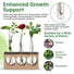 Plant Propagation Station 3 Glass Tube Wooden Stand Plant Terrarium for Hydroponic Plants Home Decor, Root Propagator for Office Home and Decor, Unique Gifts for Women, Men and Plant Lovers - Organo Republic