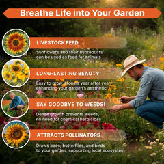 Sunflower Mix Seeds Pack 4 oz - Organo Republic seeds store Sunflower Mix Seeds Pack 4 oz