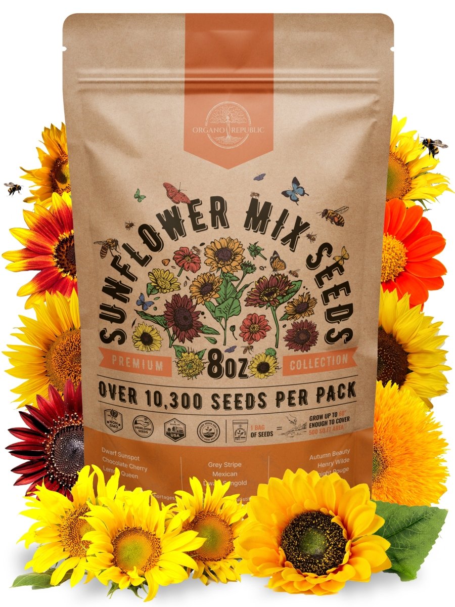 Sunflower Mix Seeds Pack 8 oz - Organo Republic seeds store Sunflower Mix Seeds Pack 8 oz