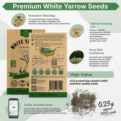 White Yarrow Seeds Pack 0.25G - Organo Republic seeds store White Yarrow Seeds Pack 0.25G