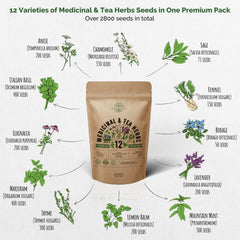 12 Medicinal & Tea Herb Seeds Variety Pack for Planting Indoor & Outdoors - Organo Republic
