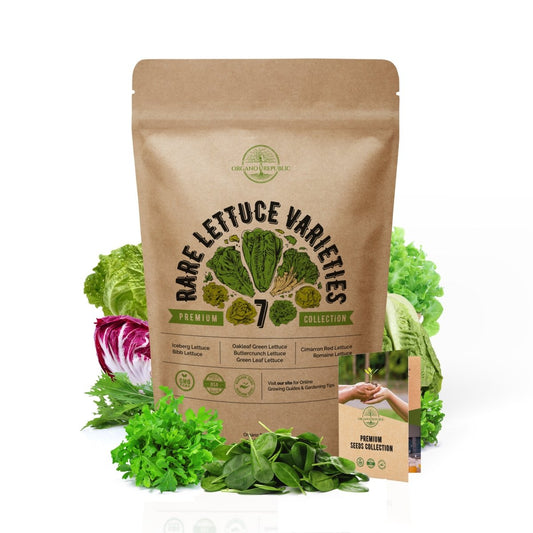 7 Lettuce Seeds Variety Pack - Over 3800 Non-GMO, Heirloom Seeds - Organo Republic 1200