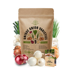 9 Onion Seeds Variety Pack Heirloom, Non-GMO, Onion Seeds for Planting - Organo Republic