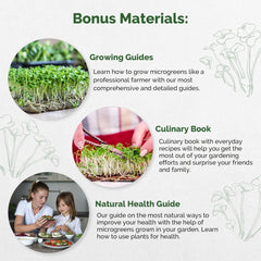 Arugula Sprouting & Microgreens Seeds 4oz - Over 65 000 Non-GMO, Heirloom Seeds - Organo Republic