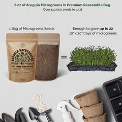 Arugula Sprouting & Microgreens Seeds 8oz - Over 110 000 Non-GMO, Heirloom Seeds - Organo Republic