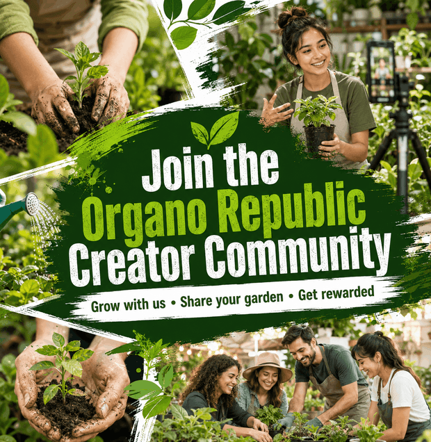 Join the Organo Republic Creator Community