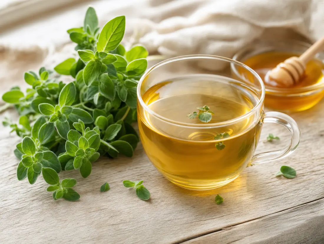 A cup of oregano herbal tea with fresh oregano sprigs and honey