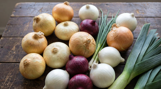 Types of Onions: Every Variety by Day Length and Use