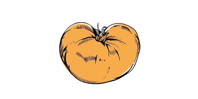 Amana Orange Tomato - Organo Republic