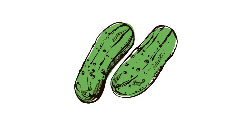 Boston Pickling Cucumber - Organo Republic