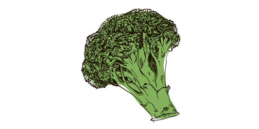 Broccoli - Organo Republic