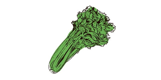 Celery - Organo Republic