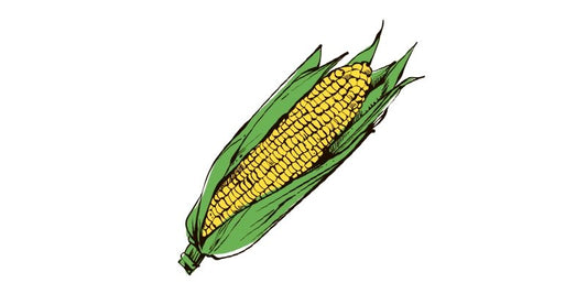 Corn - Organo Republic