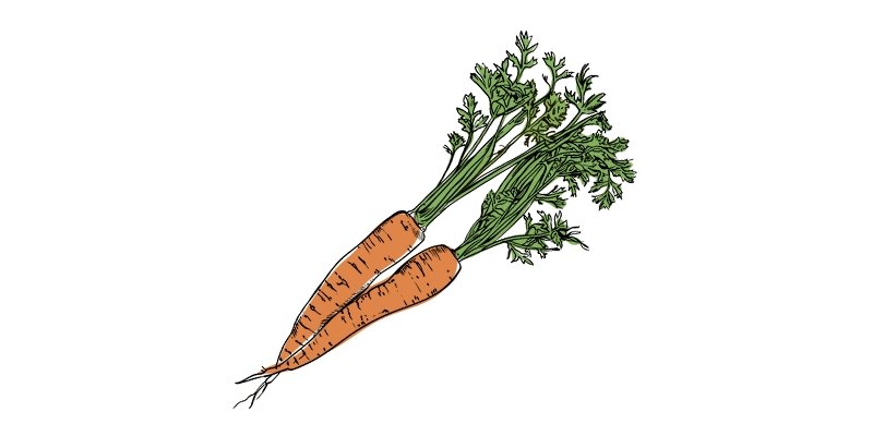 Imperator 58 Carrot