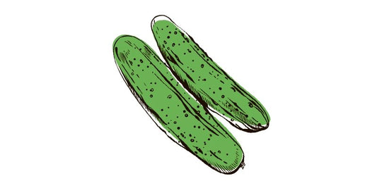 Marketer Cucumber - Organo Republic