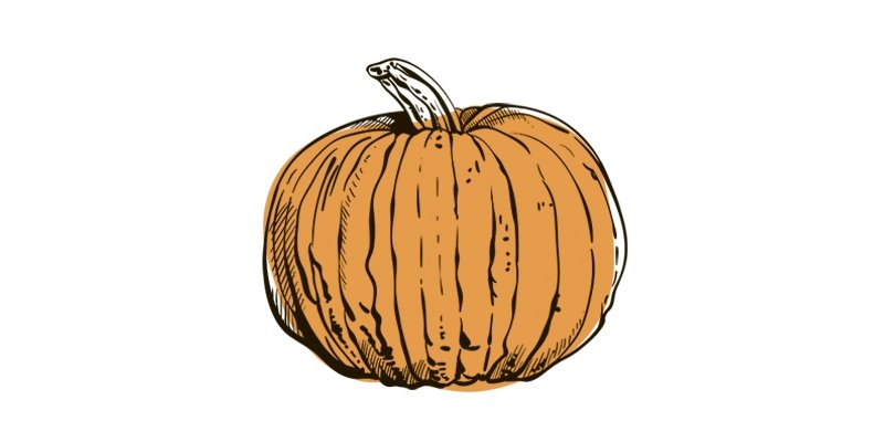 Pumpkin Connecticut Field - Organo Republic
