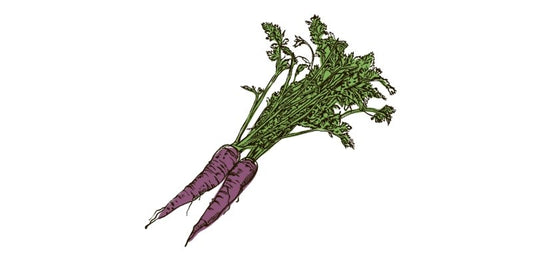 Purple Carrot - Organo Republic