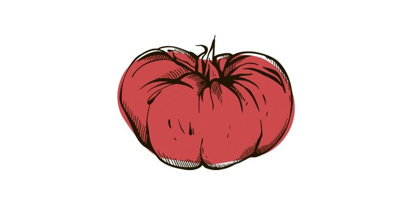 Red Beefsteak Tomato