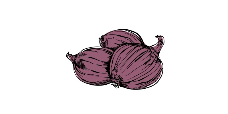 Red Burgundy Onion - Organo Republic