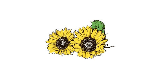 Sunflower - Organo Republic