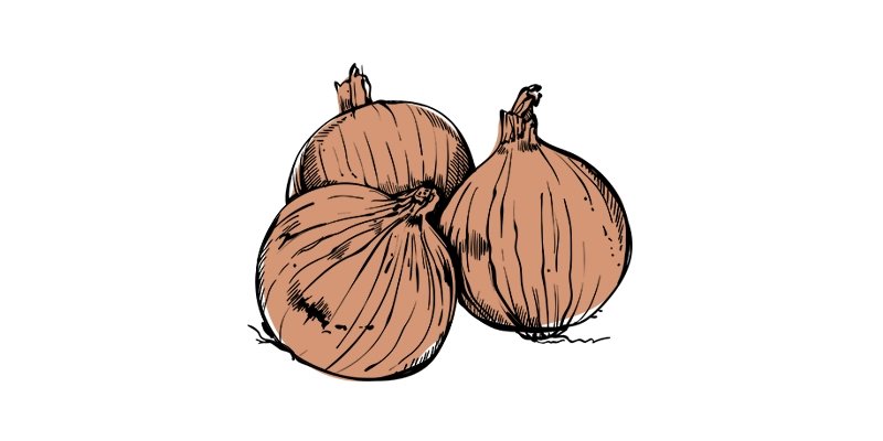 Walla Walla Onion - Organo Republic