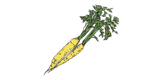 Yellow Carrot - Organo Republic