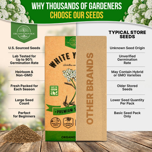 White Yarrow Seeds Pack 0.25G