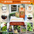 25 Summer Greens & Vegetable Seeds Variety Pack