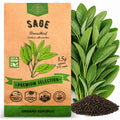 Sage Seeds Pack 1.5 G