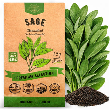 Sage Seeds