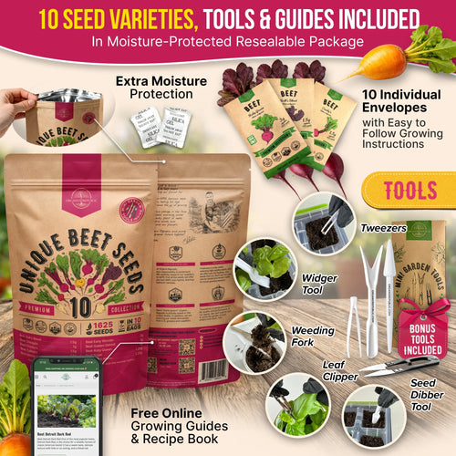 10 Rare Beet Seeds Variety Pack
