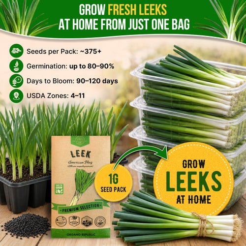 Onion Leek Seeds Pack 1G