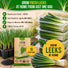 Onion Leek Seeds Pack 1G