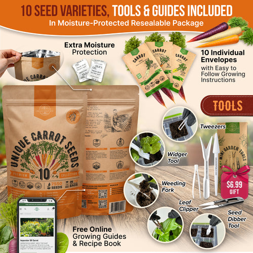 10 Unique Carrot Seeds Variety Pack