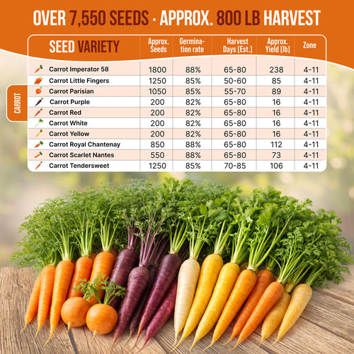 best carrot seeds to plant Organo Republic 10 Unique Carrot Seeds Variety Pack