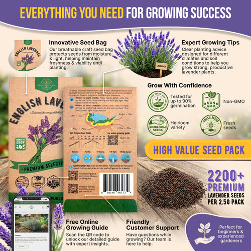 English Lavender Seeds Pack 2.5G
